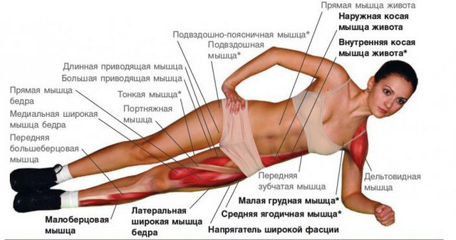 Как сделать мышцы живота упругими Как сделать мышцы живота упругими