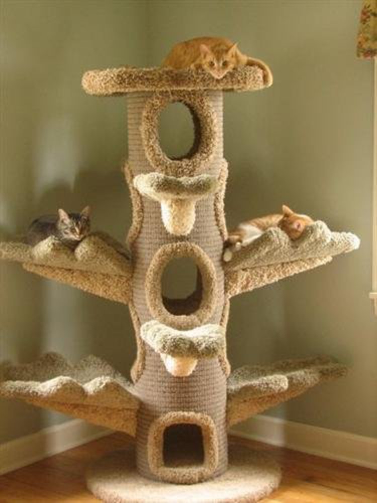 Кошки домик Кошки домик
