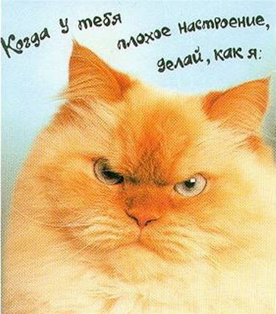 Когда у тебя плохое настроение открытка Когда у тебя плохое настроение открытка