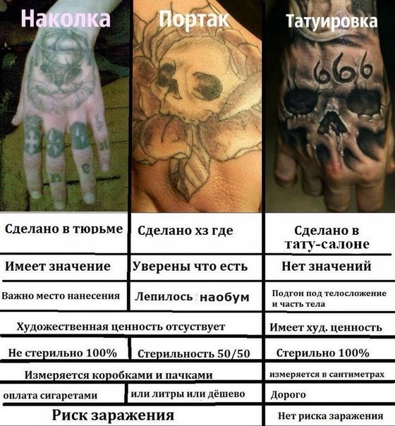 Что обозначает зона татами Что обозначает зона татами