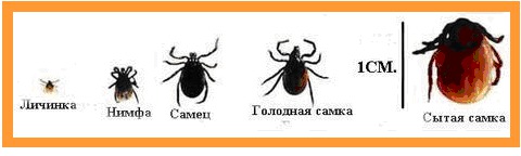 Пошив одежды в Москве на швейном производстве Постановление 31 Тарифно-квалификационные характеристики по