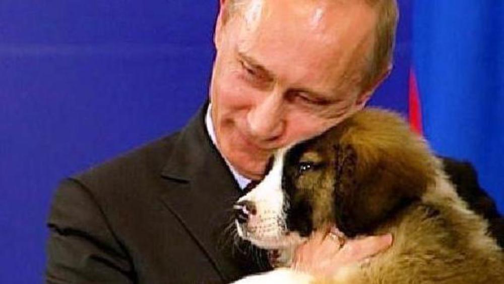 Путин Милые Фото Путин Милые Фото
