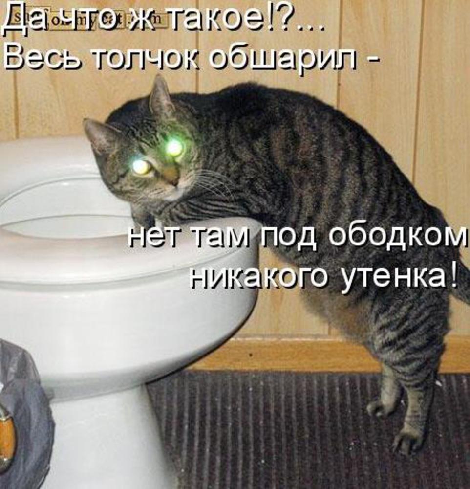 Новые наличные. Саша ты проиграешь деду. Принеси рояль на нем рюмка коньяка. Стоять стоишь нести несешь. Неси сосиски.