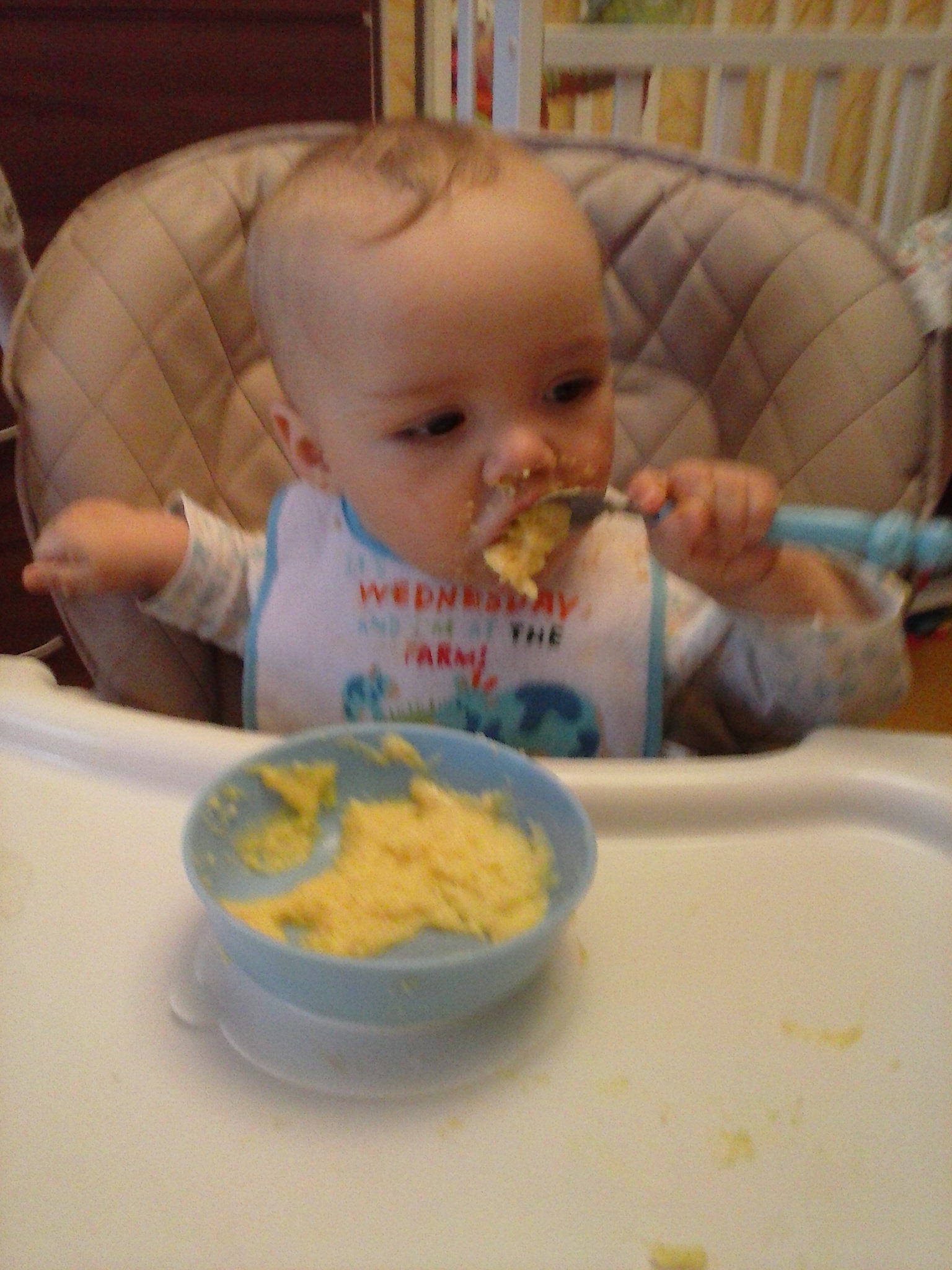 Кусочки в 10 месяцев. Ребенок ест. Малыш кушает. Ребенок кушает самостоятельно. Малыш ест сам ложкой.