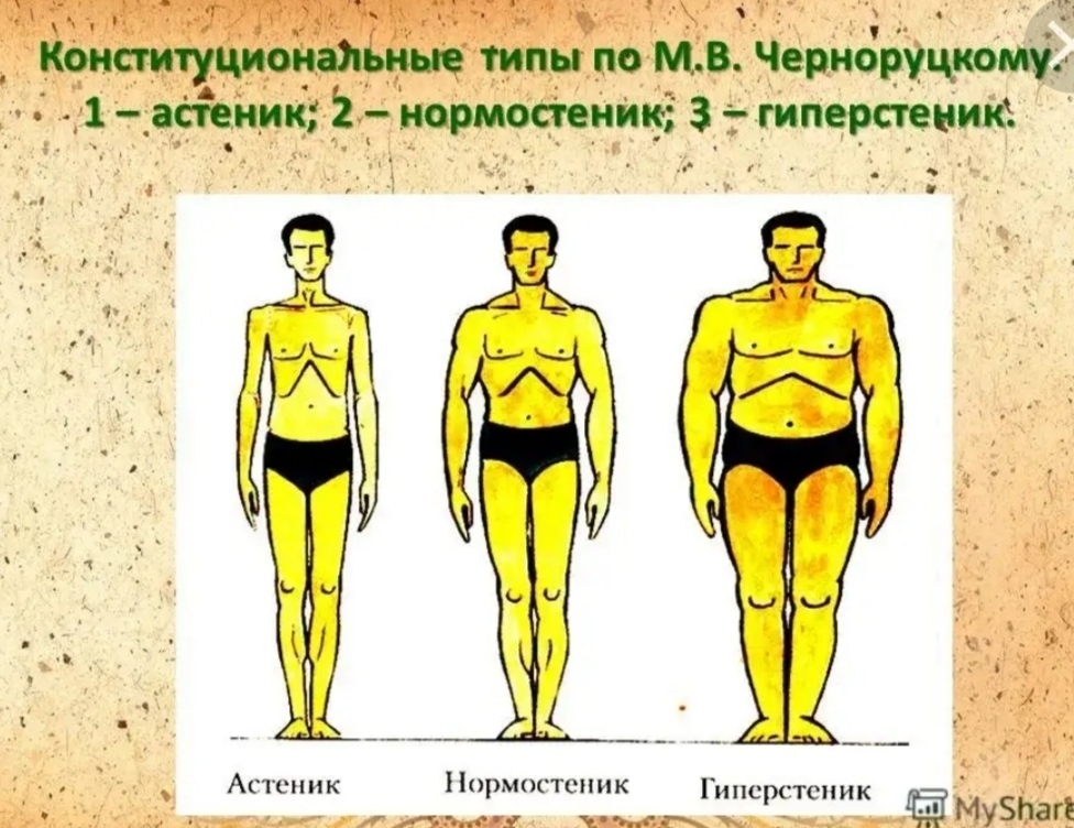 Нормостеник. Что такое Конституция астеник нормостеник. Конституционный Тип нормостеник. Конституциональные типы по м.в.Черноруцкому. Типы Конституции человека астеники гиперстеники.