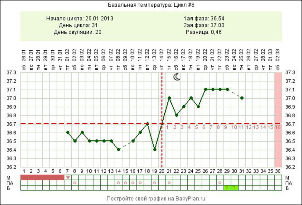 Месячные базальная температура 37. График БТ при беременности двойней. График базальной температуры норма при беременности. БТ беременный график при 28дц. График базальной температуры при беременности без беременности.