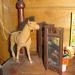 DSC05070.JPG