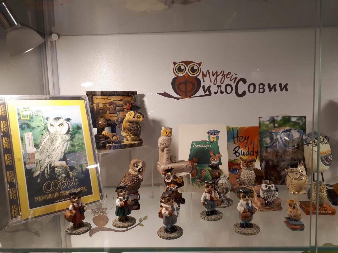 музей филинов и сов в зеленоградске