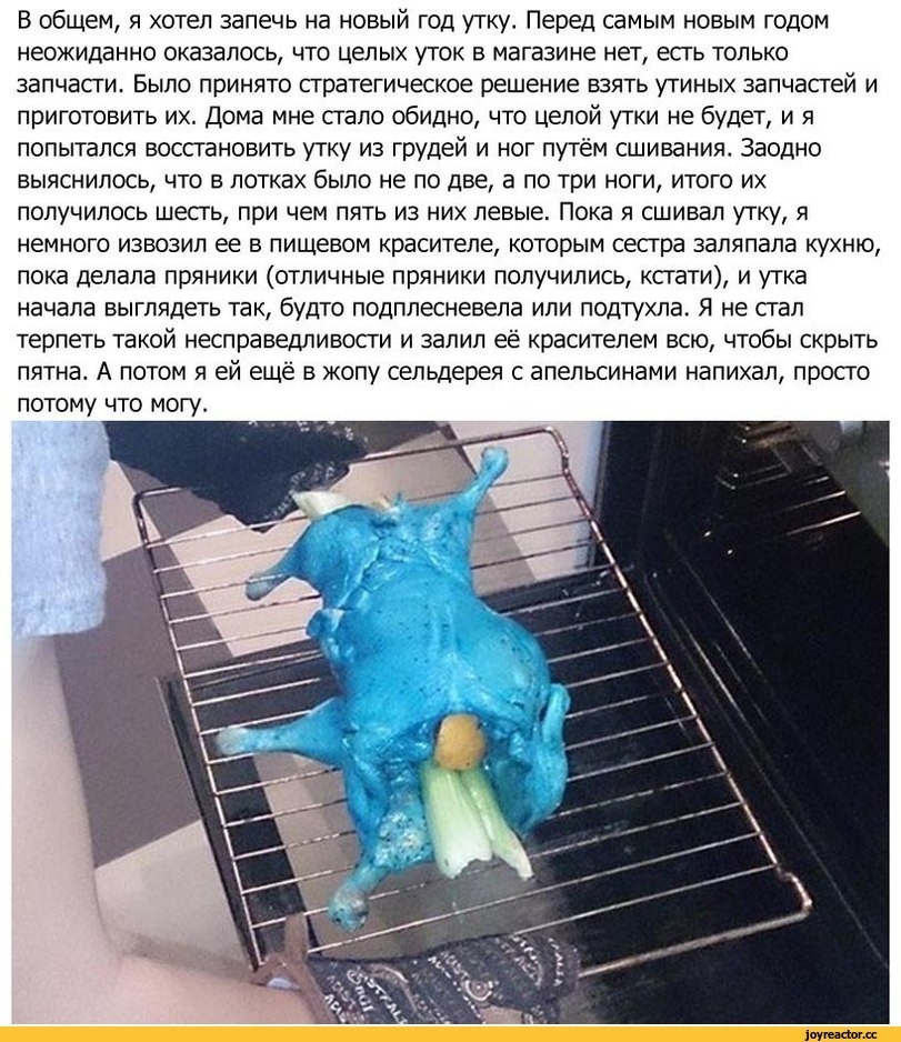 3. Лабрадор ретривер