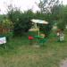 DSC01560.JPG