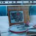 DSC01545.JPG