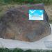DSC01556.JPG