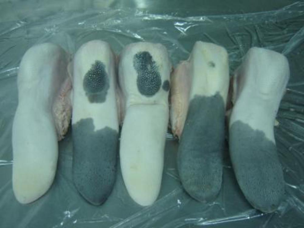 цвет вареного говяжьего языка. говяжий язык внутри темный. говяжий язык с черными пятнами. почему говяжий язык черный. вареный говяжий язык.