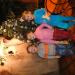 DSC00294.JPG