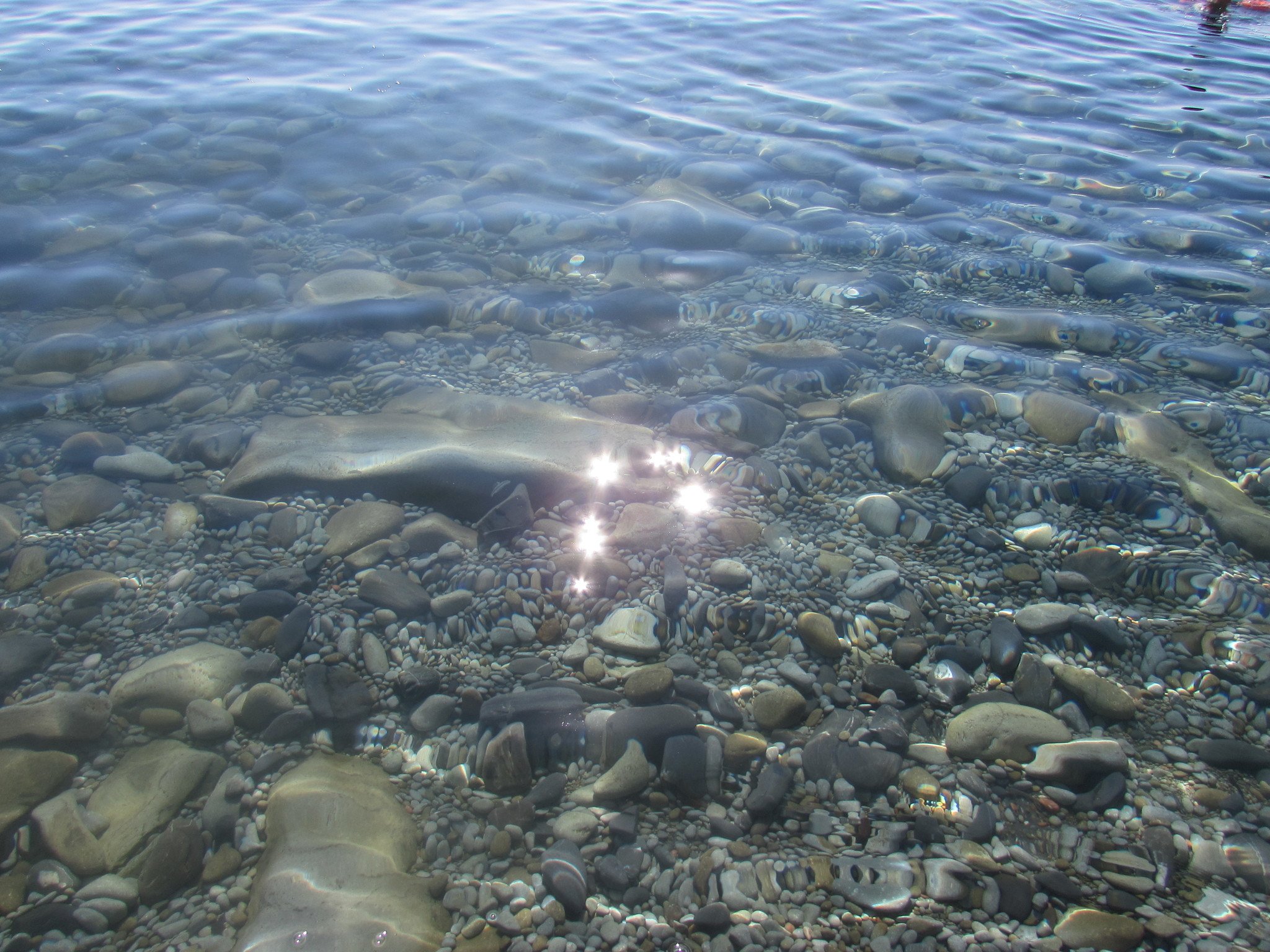 Погода алушта на неделю море вода. Алушта под водой. Город Алушта под водой. Рыба в Алуште в мае.