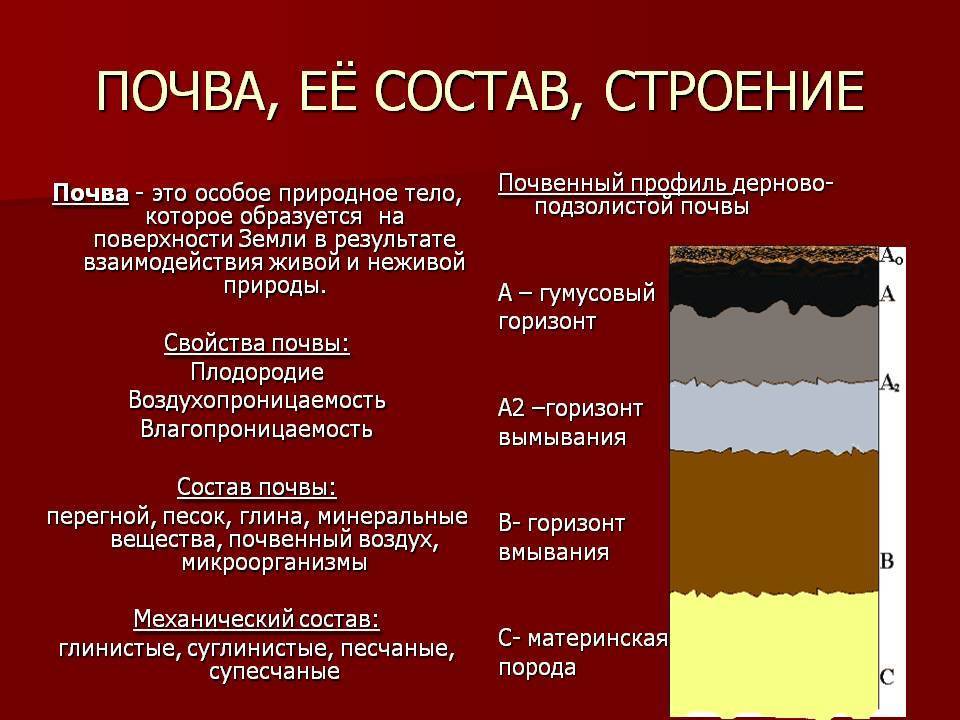 По рисунку 55 сравните как проходят границы гумусового горизонта и почвенного слоя в целом