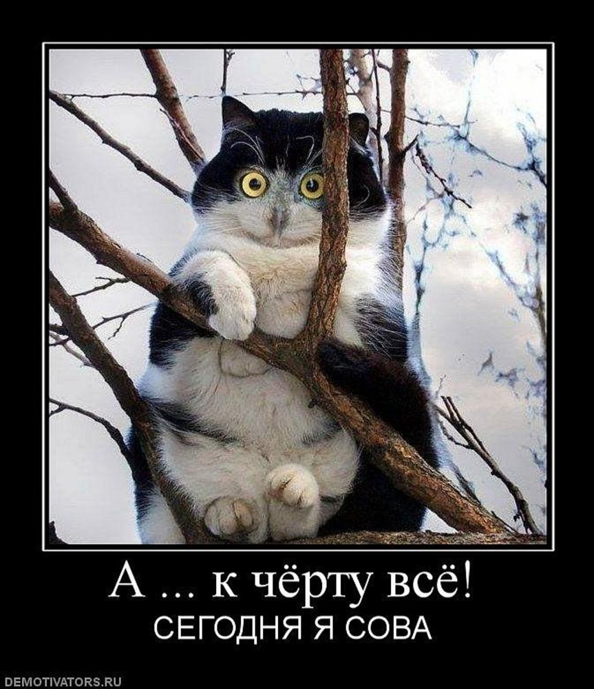 пошло все в жопу Пошло все в жопу
