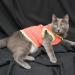 DSC_3351.JPG