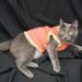 DSC_3347.JPG