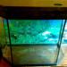 аквариум с крышкой и подсветкой.