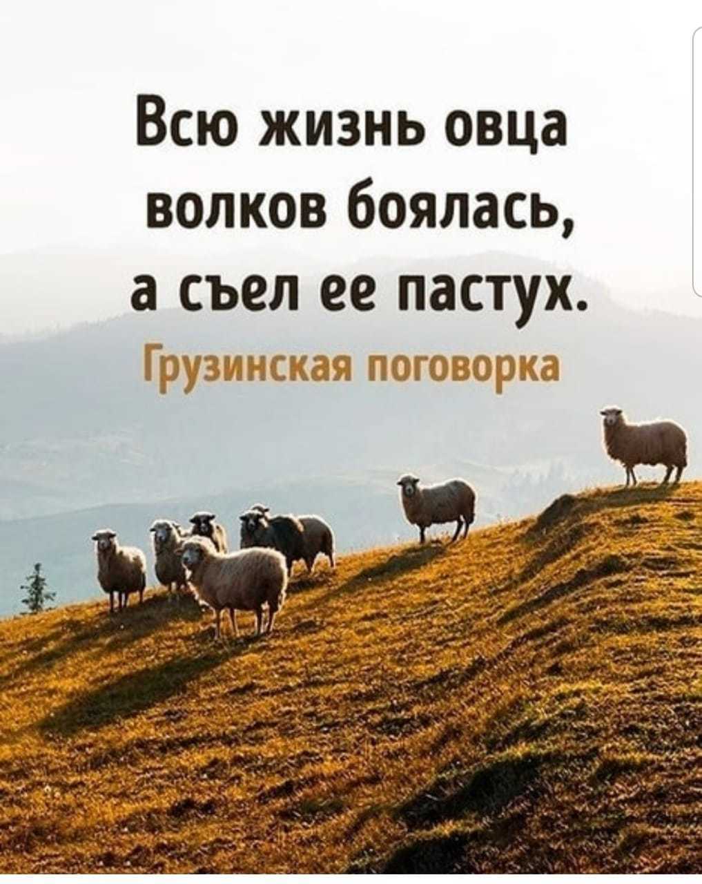 Мудрость дня