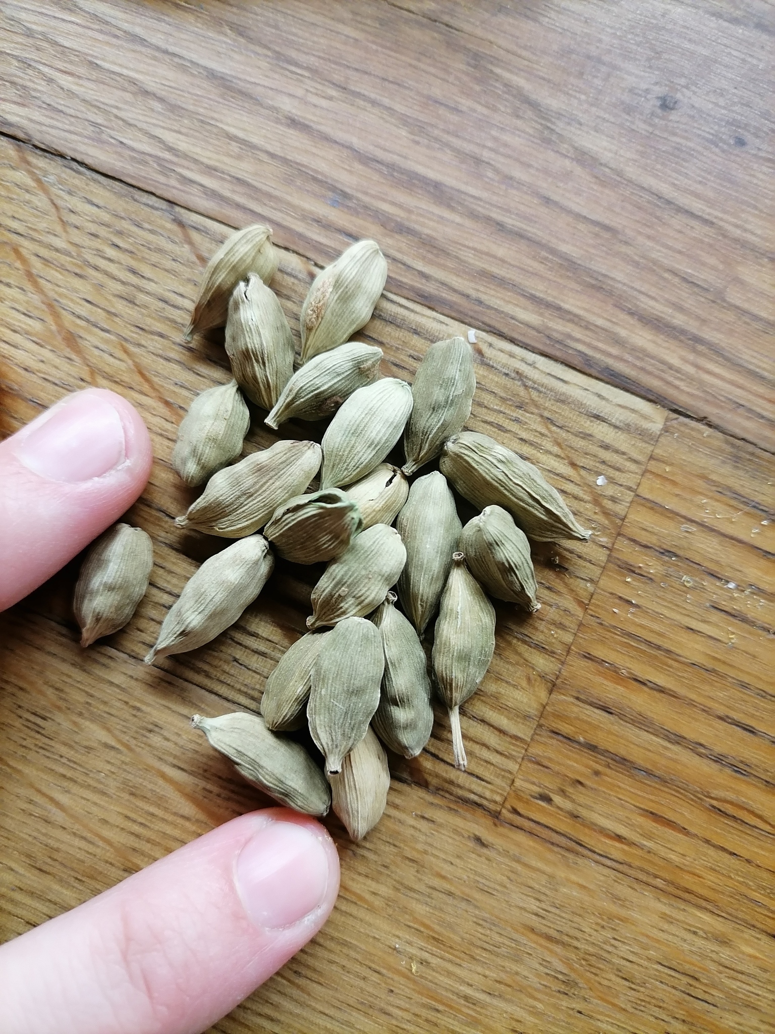 Семена форум ru семена кленов японских