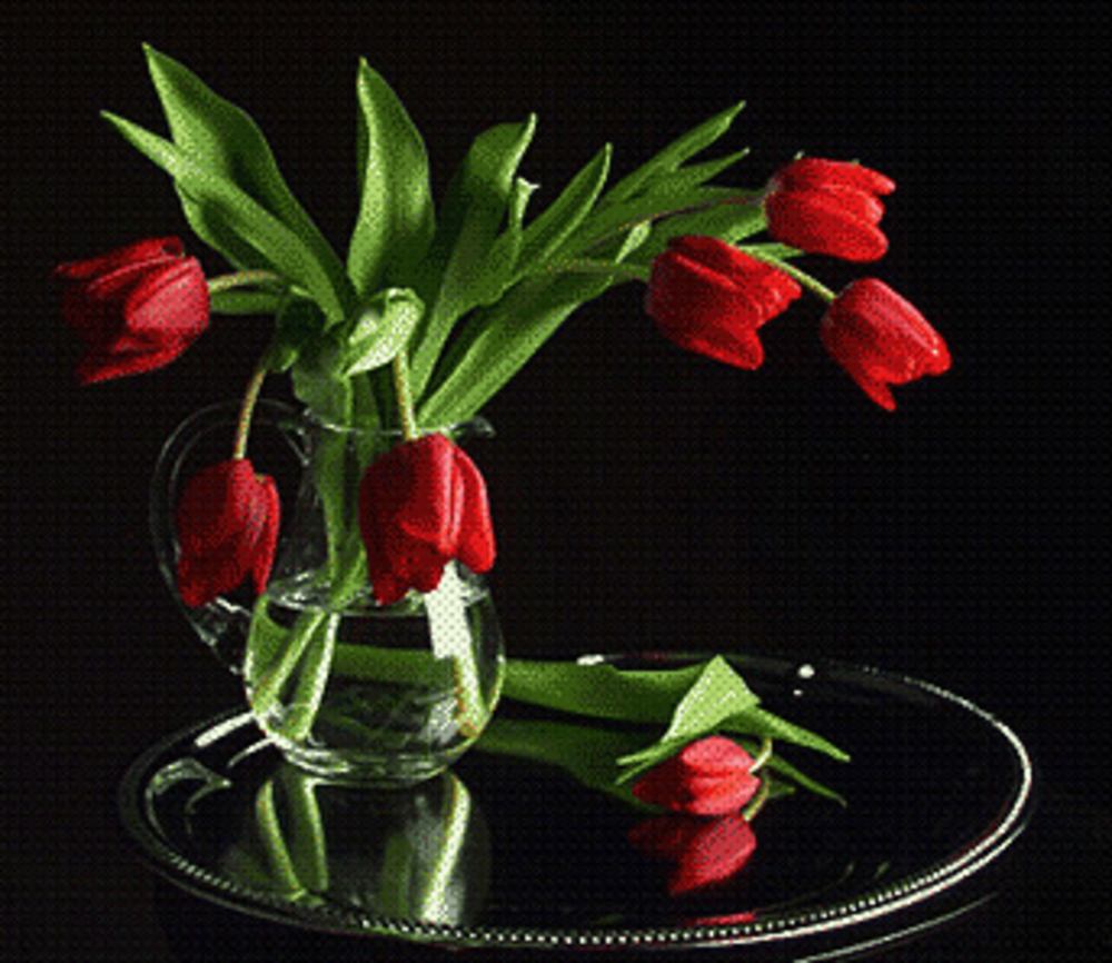 Добрый вечер с тюльпанами