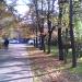 IMG0021A.jpg