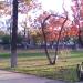 IMG0042A.jpg