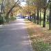 IMG0018A.jpg