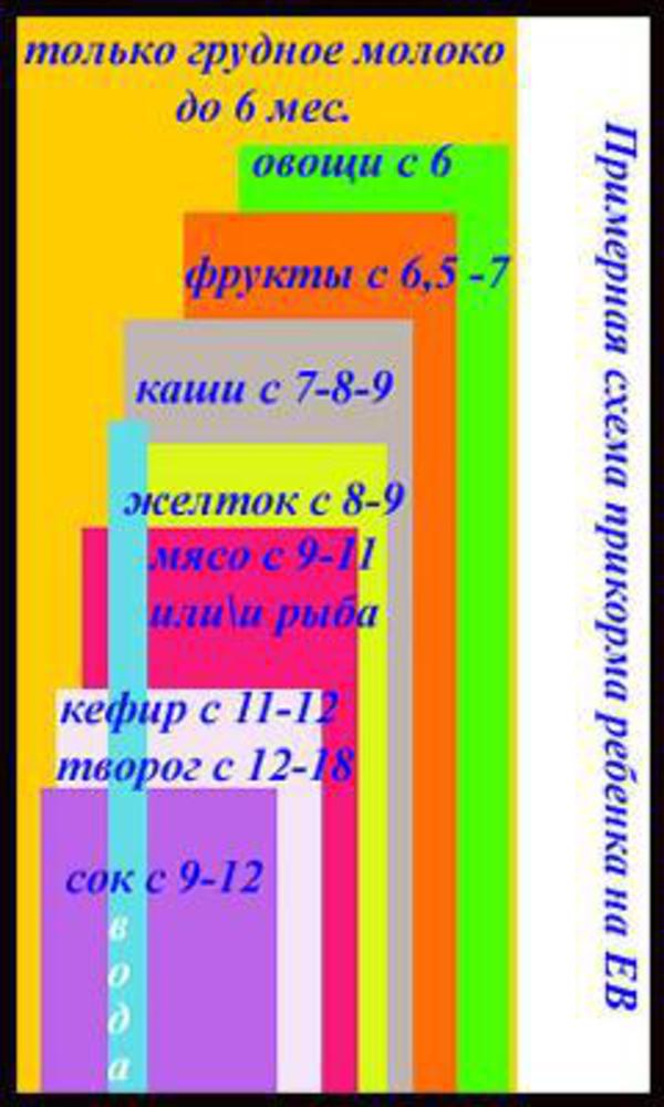 После начала прикорма изменился стул