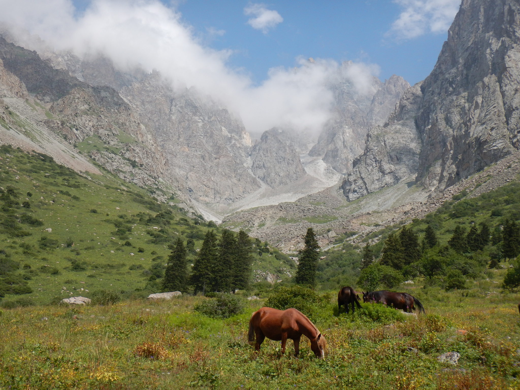 Ала арчинское ущелье кыргызстан фото