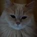 DSC04619.JPG