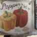 выстав 056.jpg