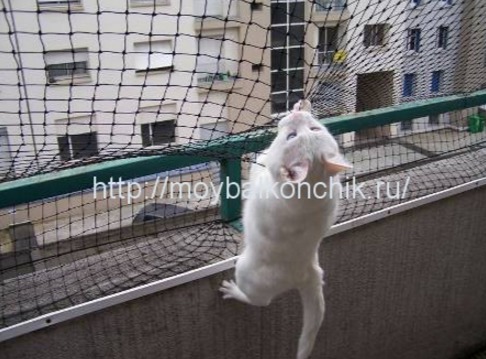 Сетки на окна для кошков / форум.