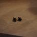 DSC07280.JPG