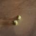DSC07278.JPG