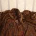 DSC00145.JPG