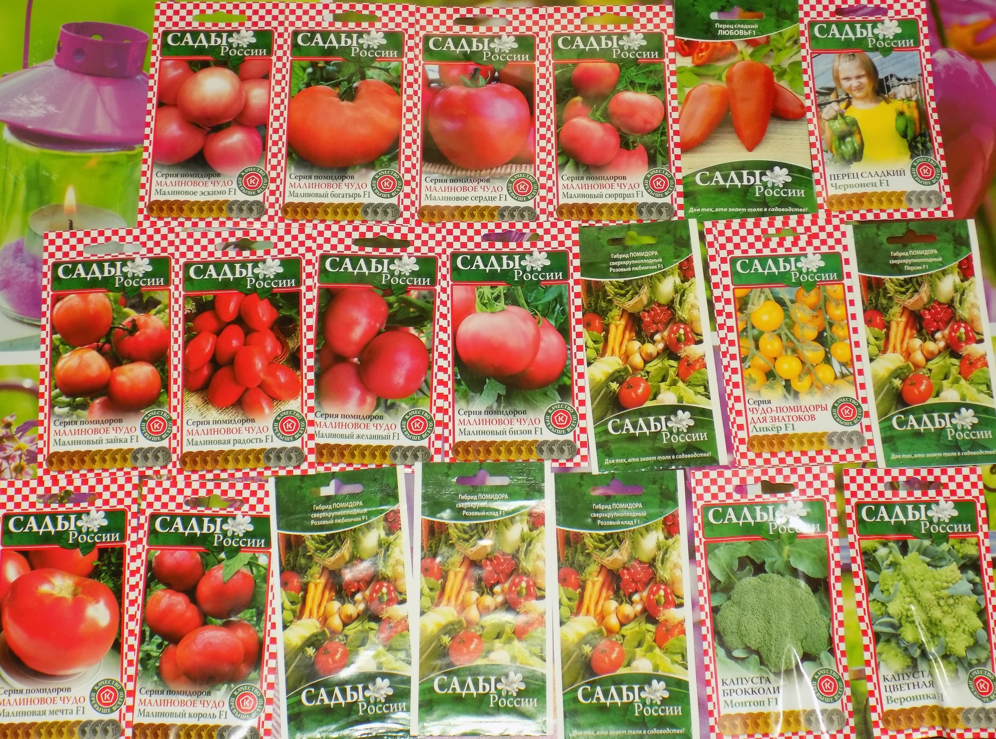 Сады россии заказать семена купить ахименесы в екатеринбурге