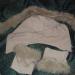 DSC03484.JPG
