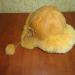 DSC00219.JPG