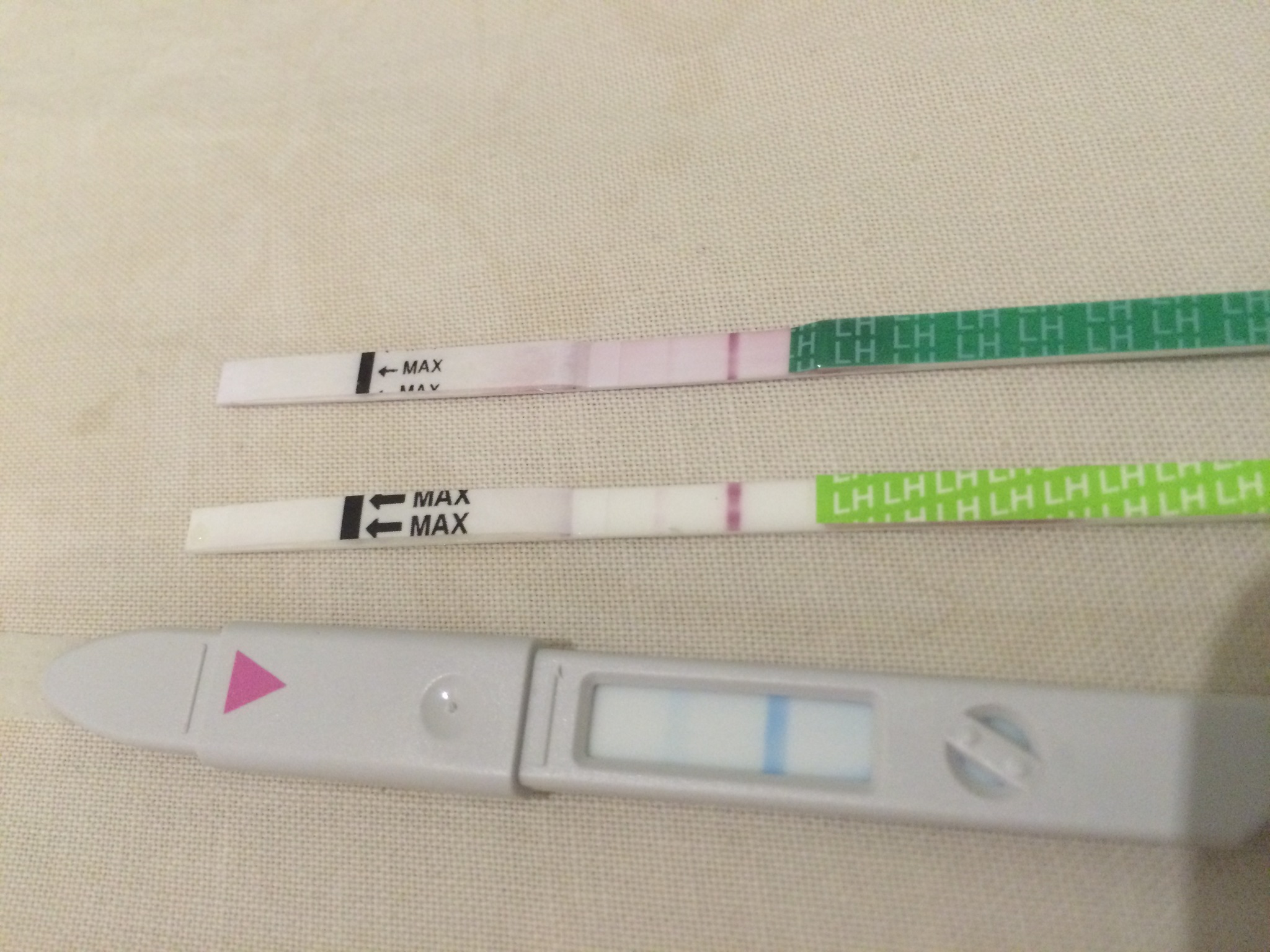 Тест на овуляцию и беременность