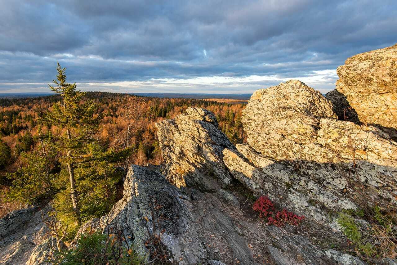 Гора шунут свердловская область фото