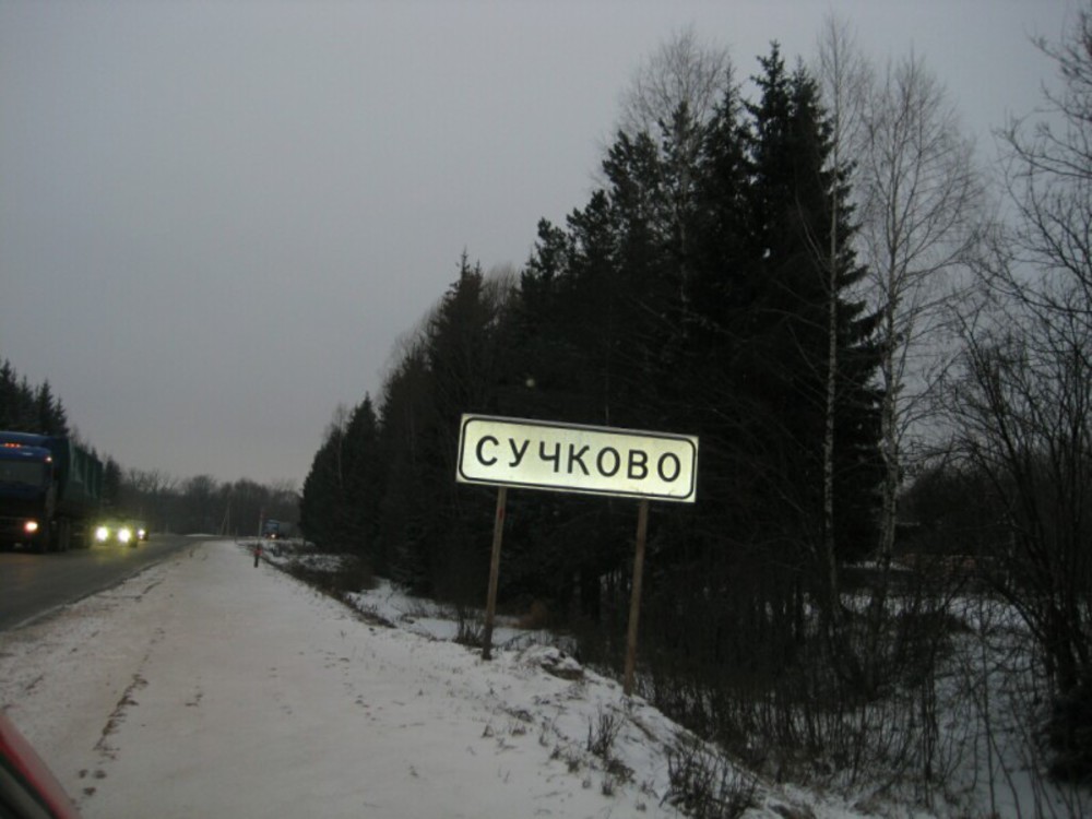 Дилара фото сучково