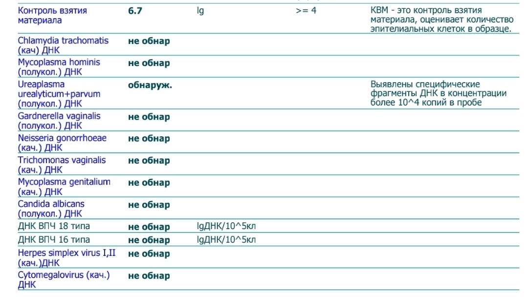 Специфические фрагменты днк. Уреаплазма выявлены специфические. Ureaplasma parvum более 10 4 копий в пробе. Ureaplasma urealyticum полукол ДНК что это у женщин.