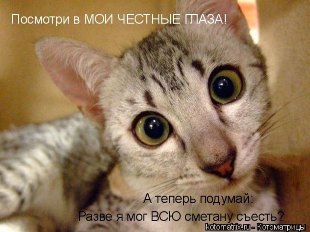 Лям прикол. Я подумаю. Картинки я подумаю над твоим предложением. Сейчас подумаю. Подумаю завтра.