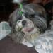 DSCN5561.JPG