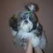 DSCN5560.JPG
