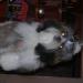 DSCN5562.JPG