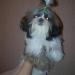 DSCN5559.JPG